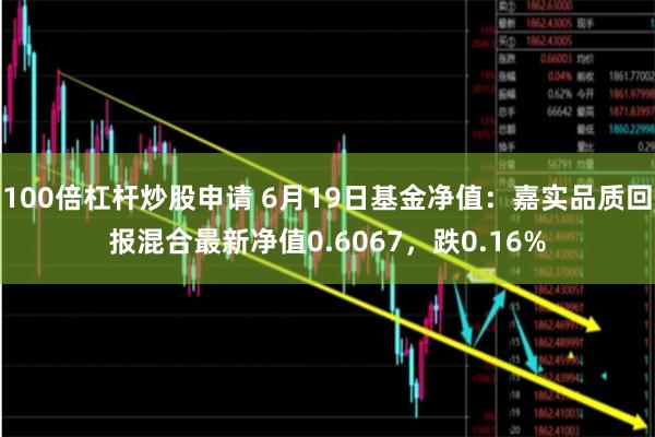 100倍杠杆炒股申请 6月19日基金净值：嘉实品质回报混合最新净值0.6067，跌0.16%